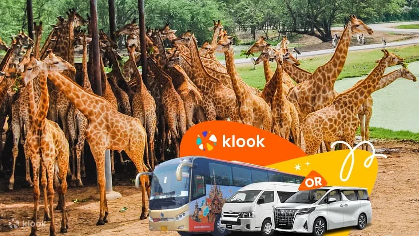 Turisme Pass Singapore-2